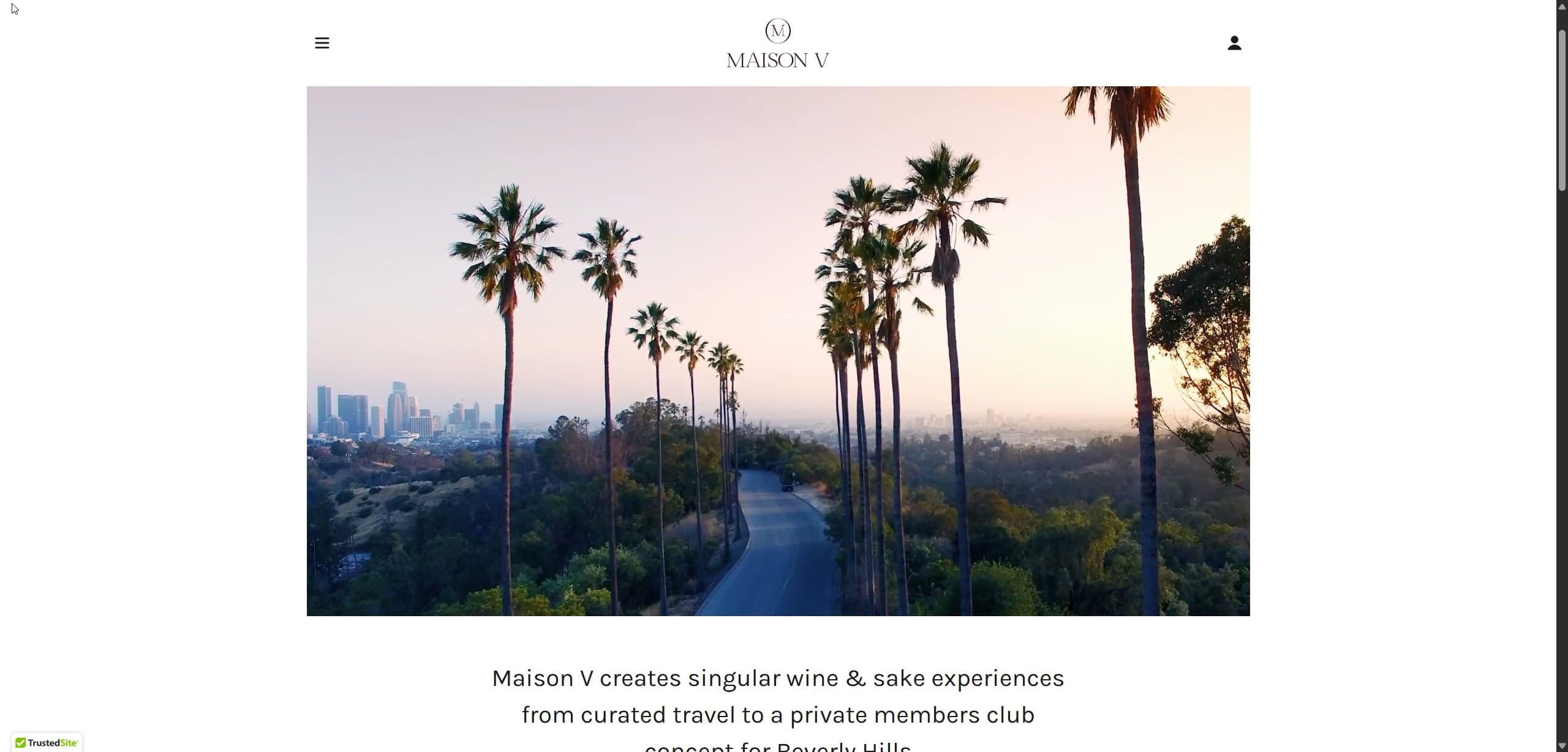 Maison V